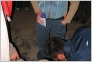 [KID Lager 2004]