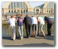 [Click to enlarge image]