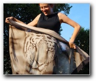 [Click to enlarge image]